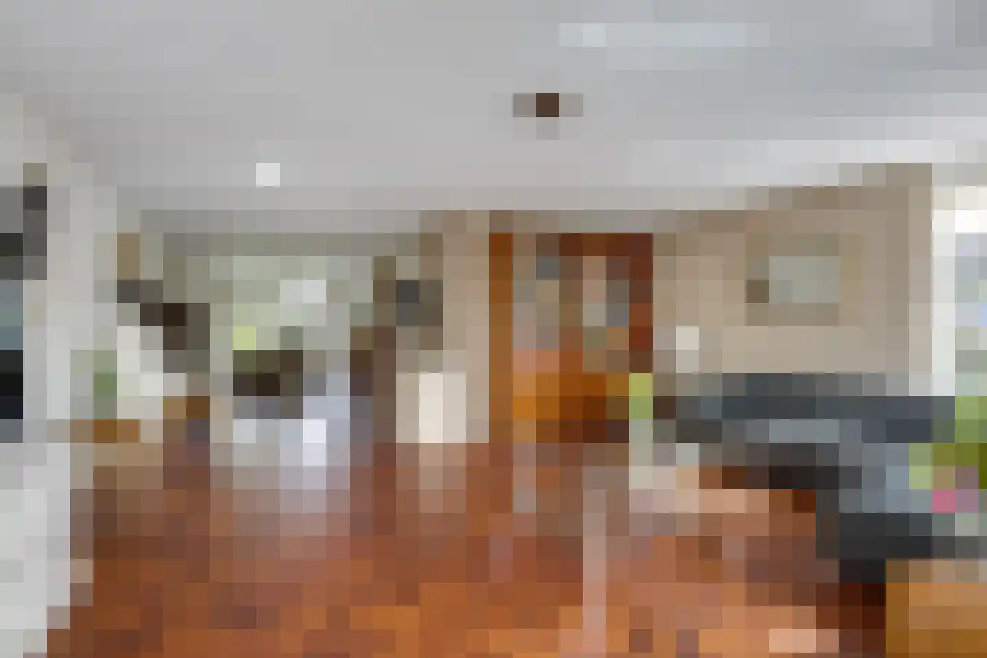 Scholekster 1 Leimuiden thumbnail 11