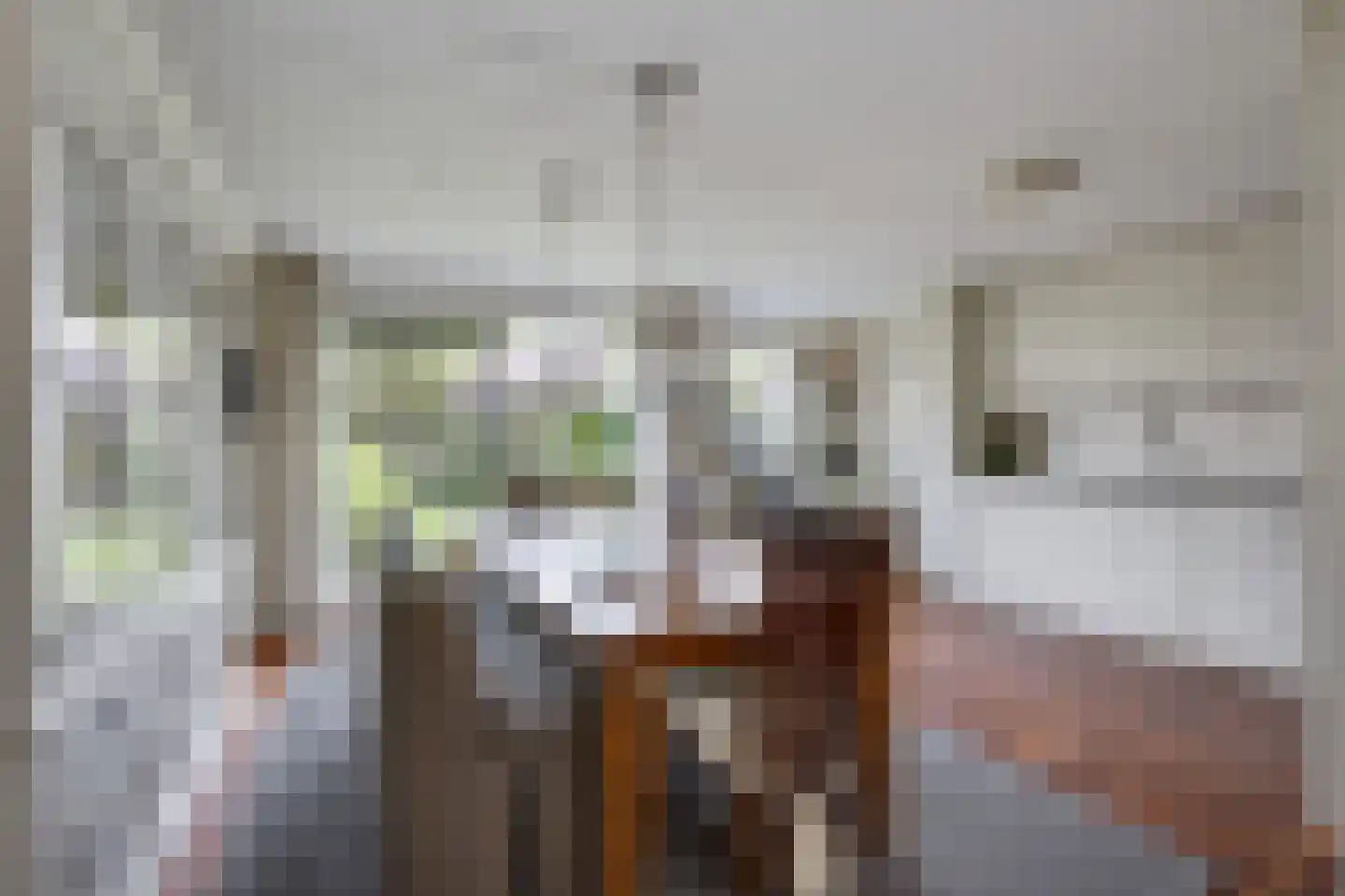 Scholekster 1 Leimuiden thumbnail 12