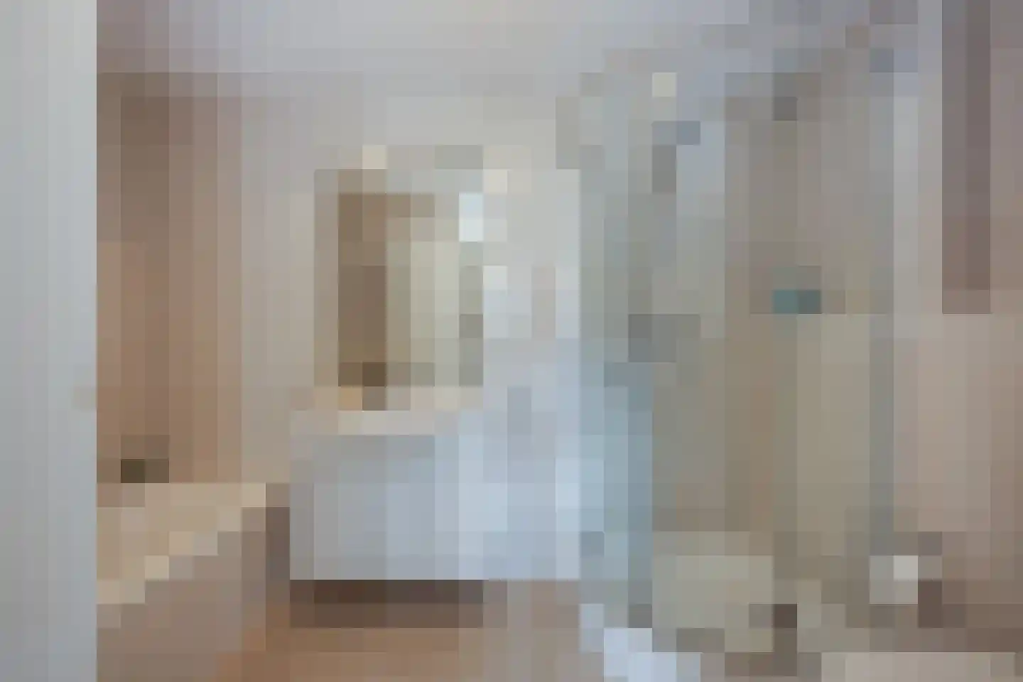 Scholekster 1 Leimuiden thumbnail 16
