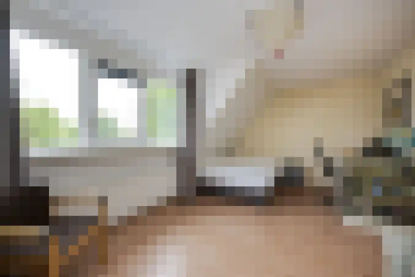 Scholekster 1 Leimuiden thumbnail 17