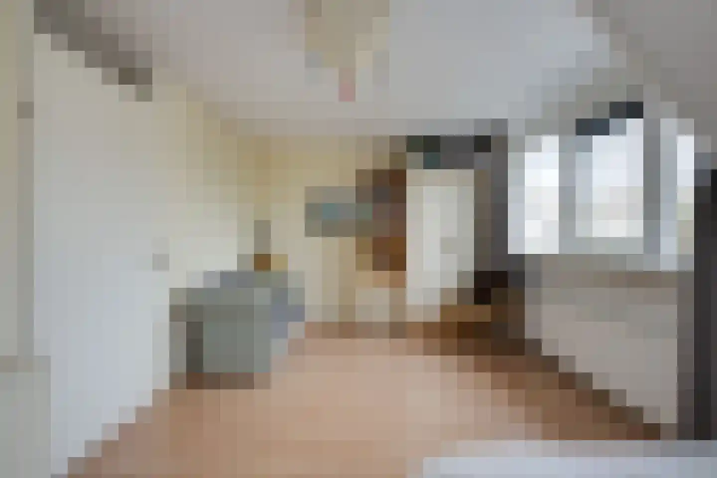 Scholekster 1 Leimuiden thumbnail 18
