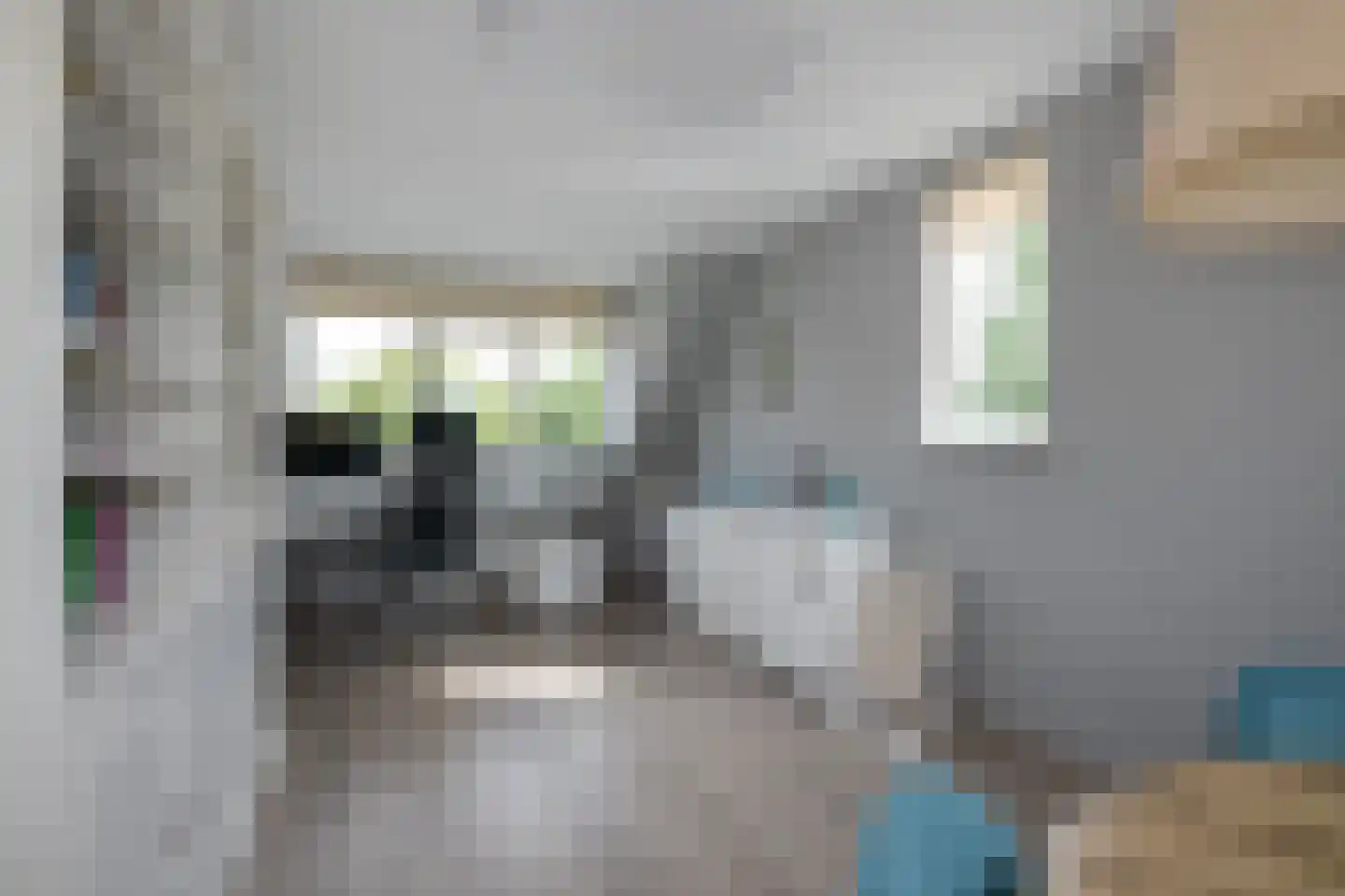 Scholekster 1 Leimuiden thumbnail 19