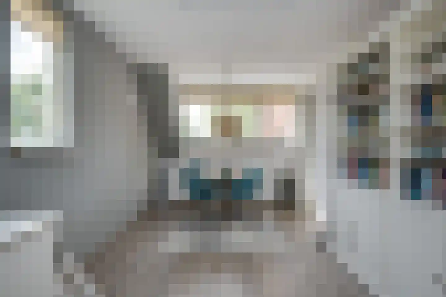 Scholekster 1 Leimuiden thumbnail 20
