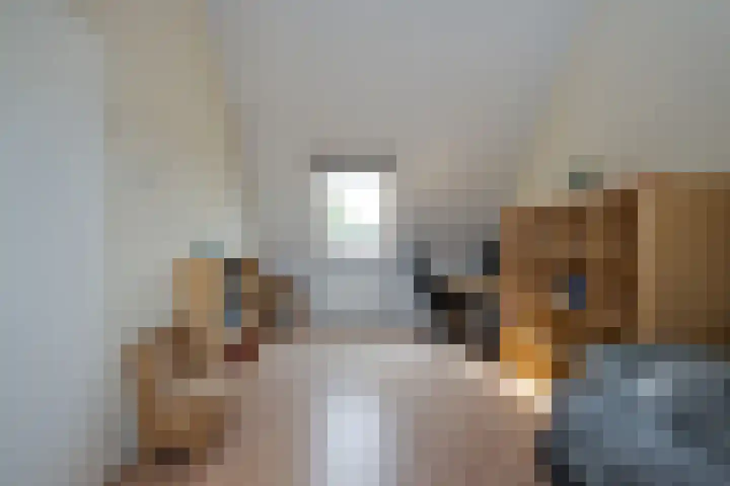 Scholekster 1 Leimuiden thumbnail 21