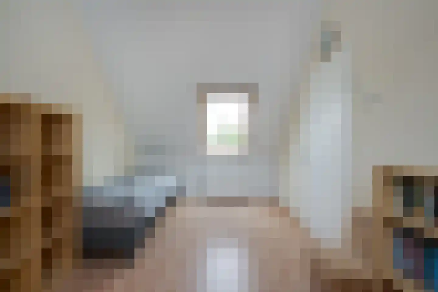 Scholekster 1 Leimuiden thumbnail 22