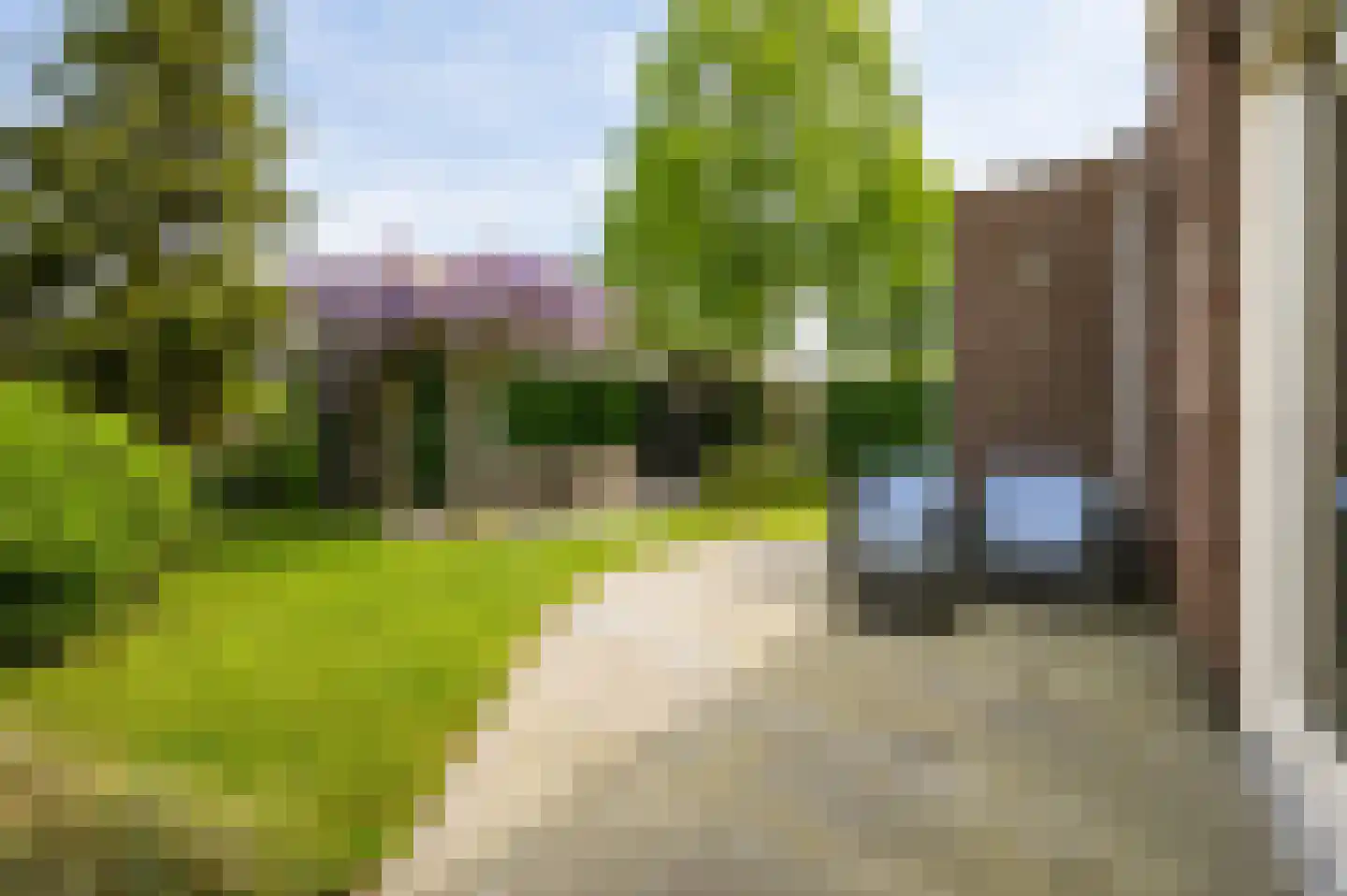 Scholekster 1 Leimuiden thumbnail 23