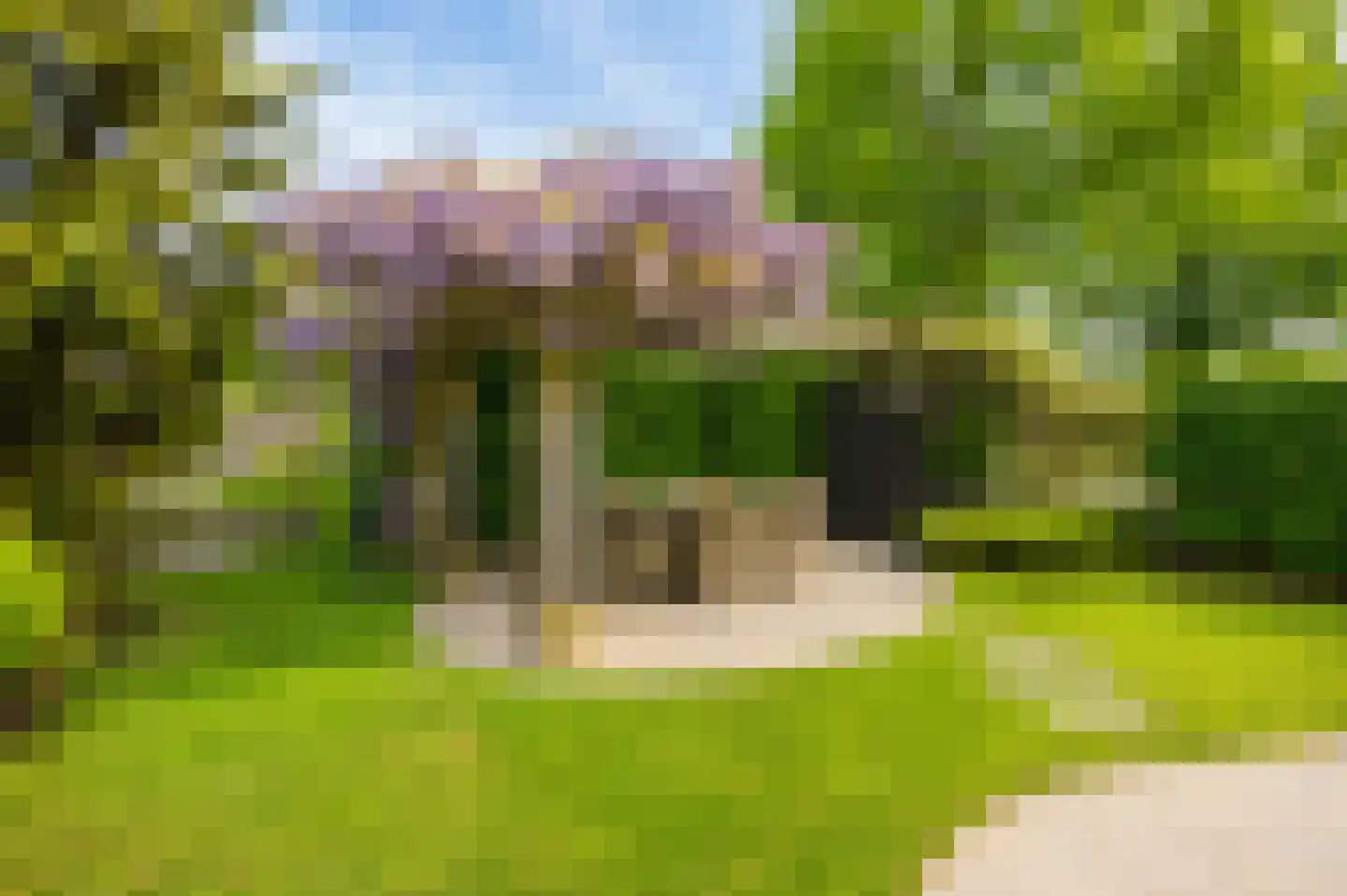 Scholekster 1 Leimuiden thumbnail 24