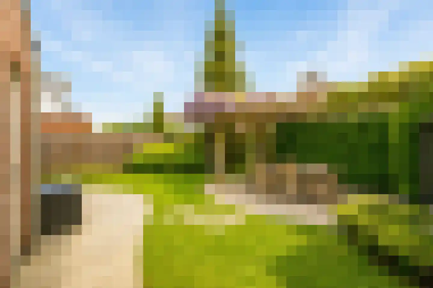 Scholekster 1 Leimuiden thumbnail 25