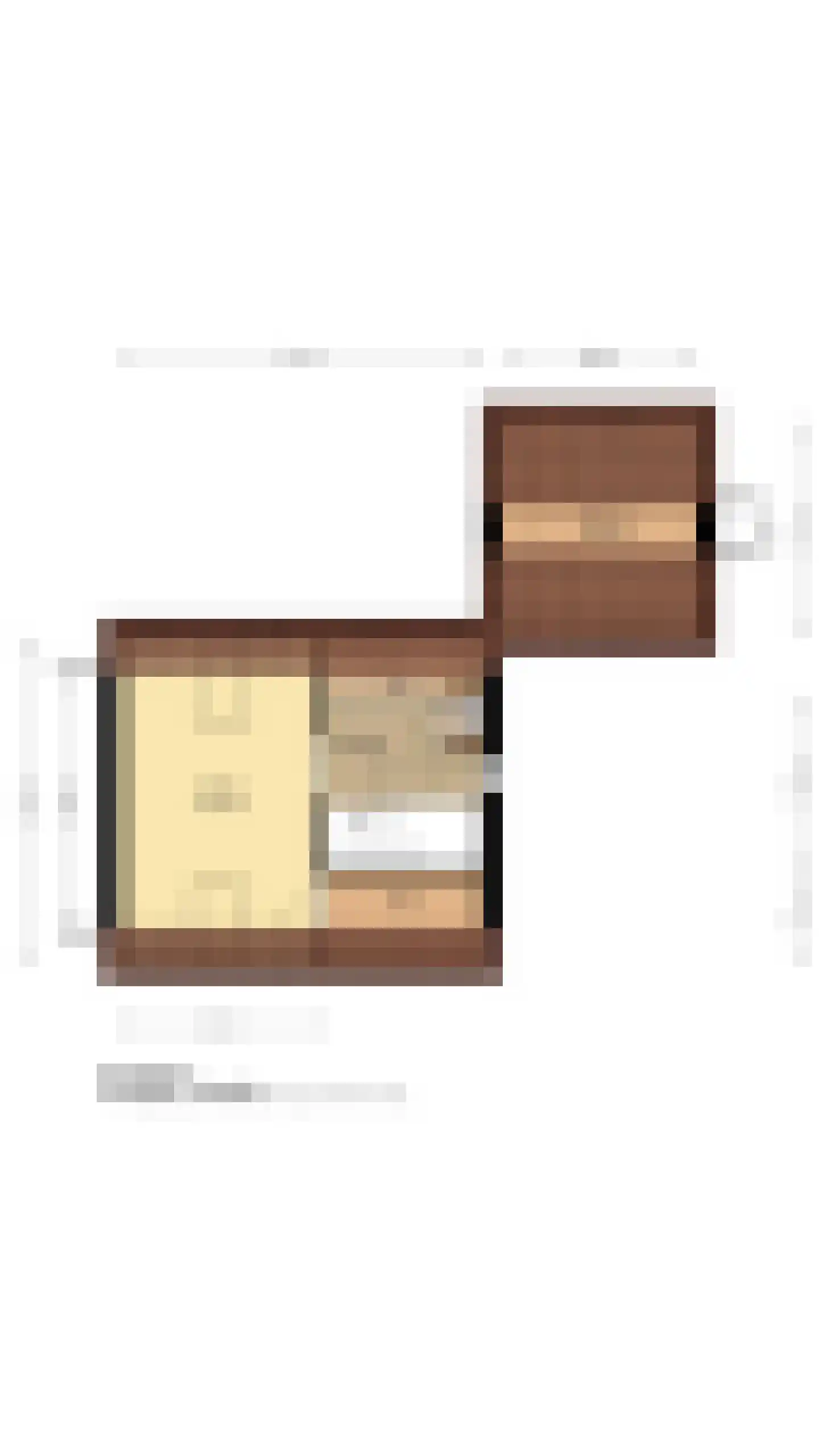 Scholekster 1 Leimuiden thumbnail 30