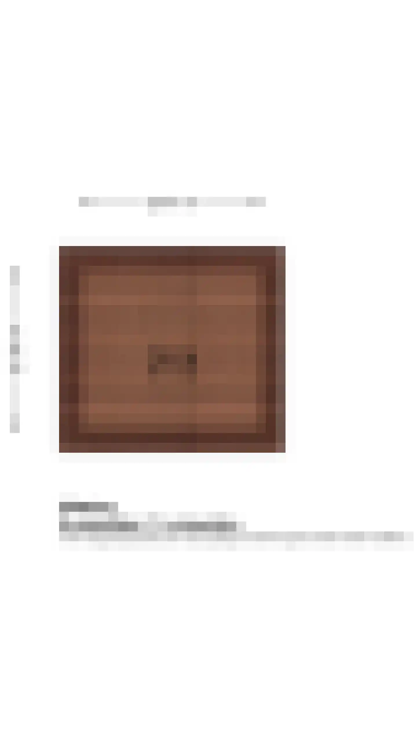 Scholekster 1 Leimuiden thumbnail 32
