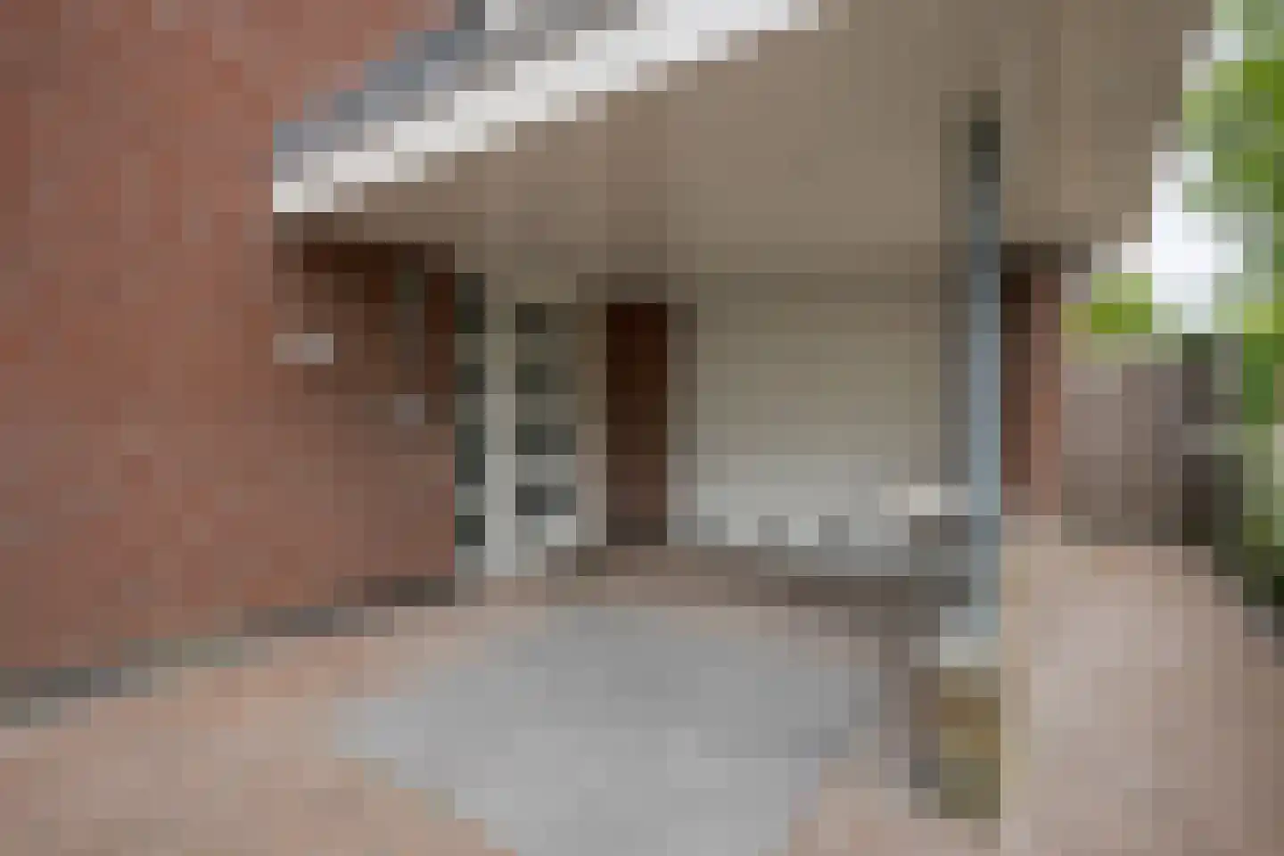 Scholekster 1 Leimuiden thumbnail 4