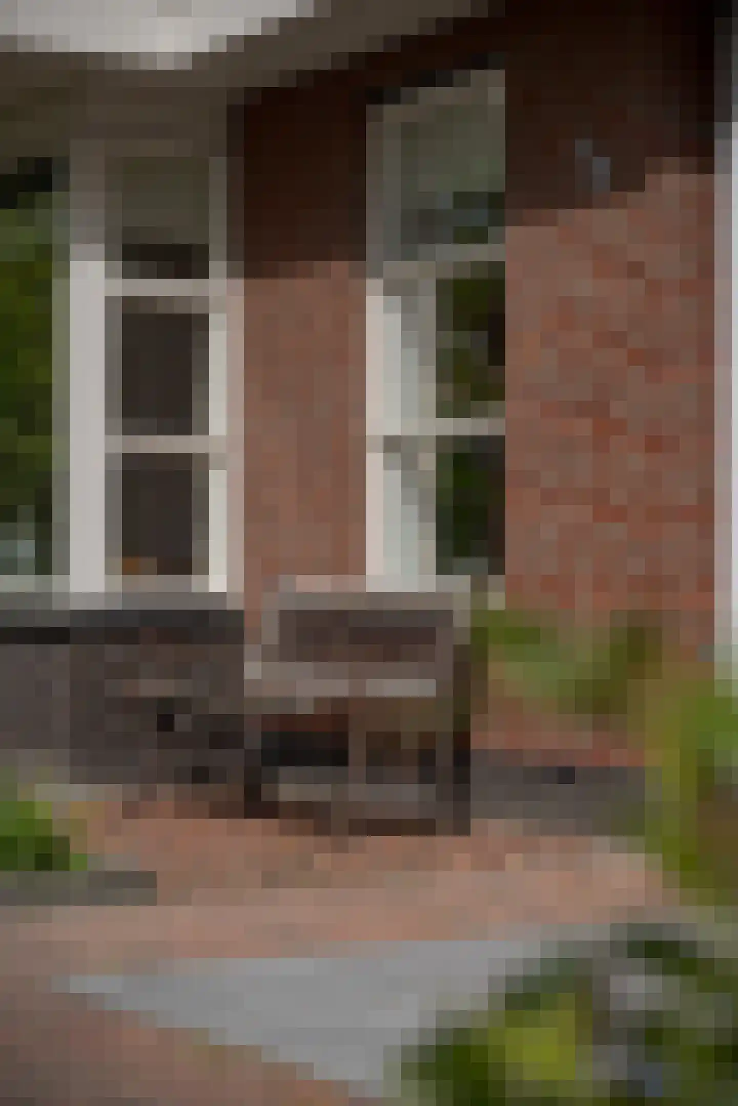 Scholekster 1 Leimuiden thumbnail 5
