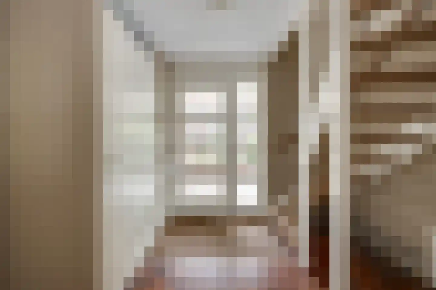 Scholekster 1 Leimuiden thumbnail 7