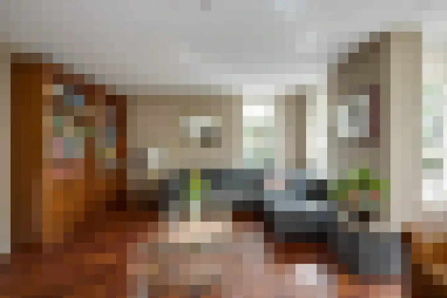 Scholekster 1 Leimuiden thumbnail 8