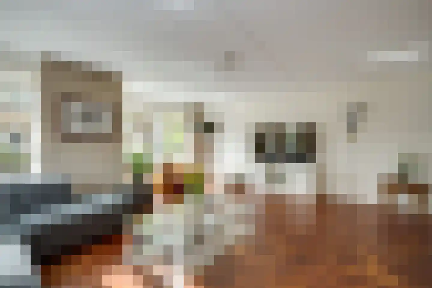Scholekster 1 Leimuiden thumbnail 9