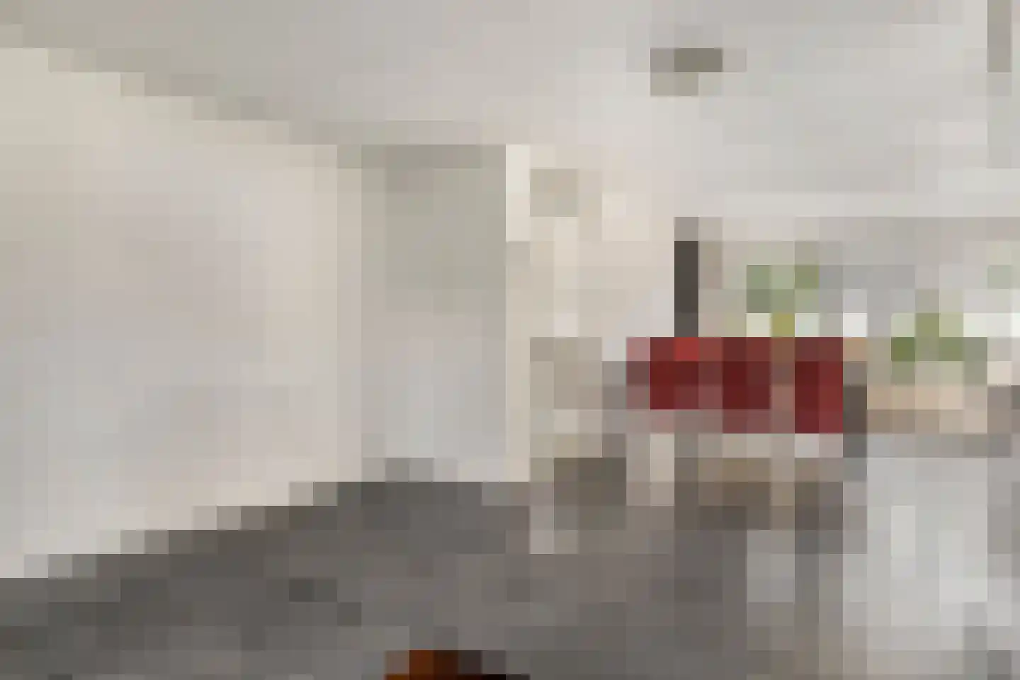 Scholekster 10 Breda thumbnail 10