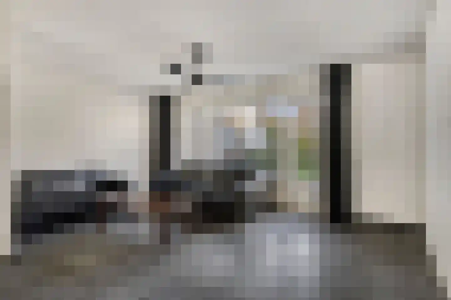 Scholekster 10 Breda thumbnail 13