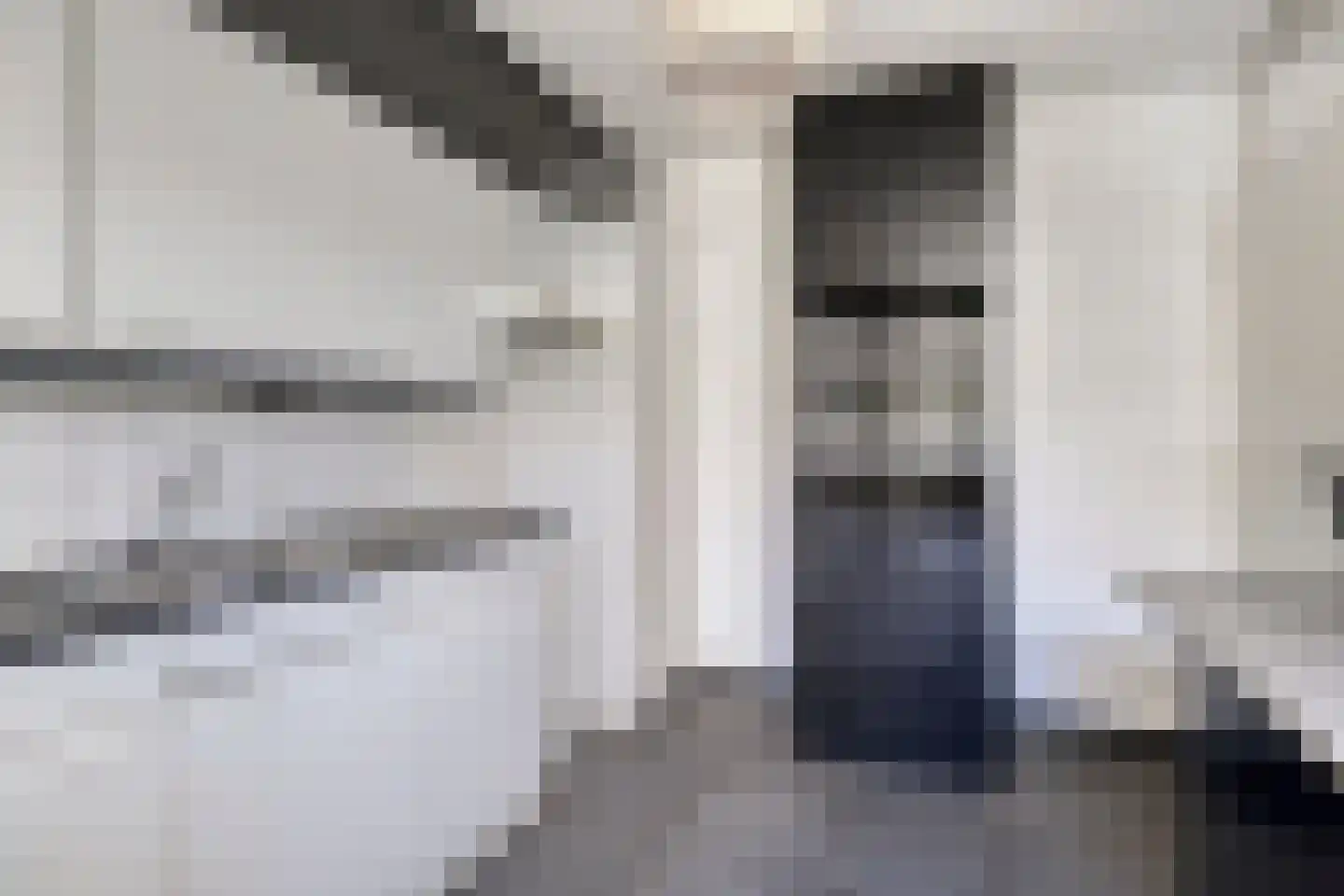 Scholekster 10 Breda thumbnail 14