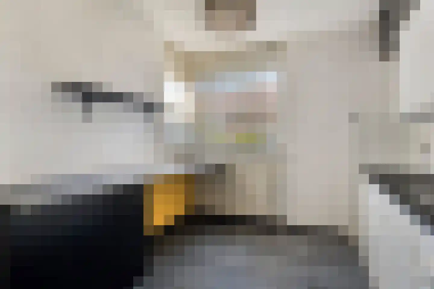 Scholekster 10 Breda thumbnail 15