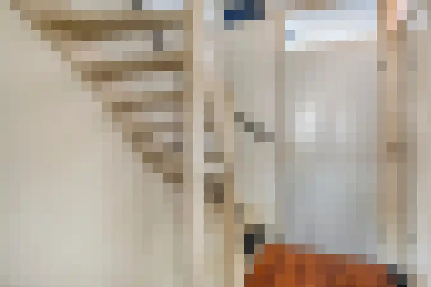 Scholekster 10 Breda thumbnail 16