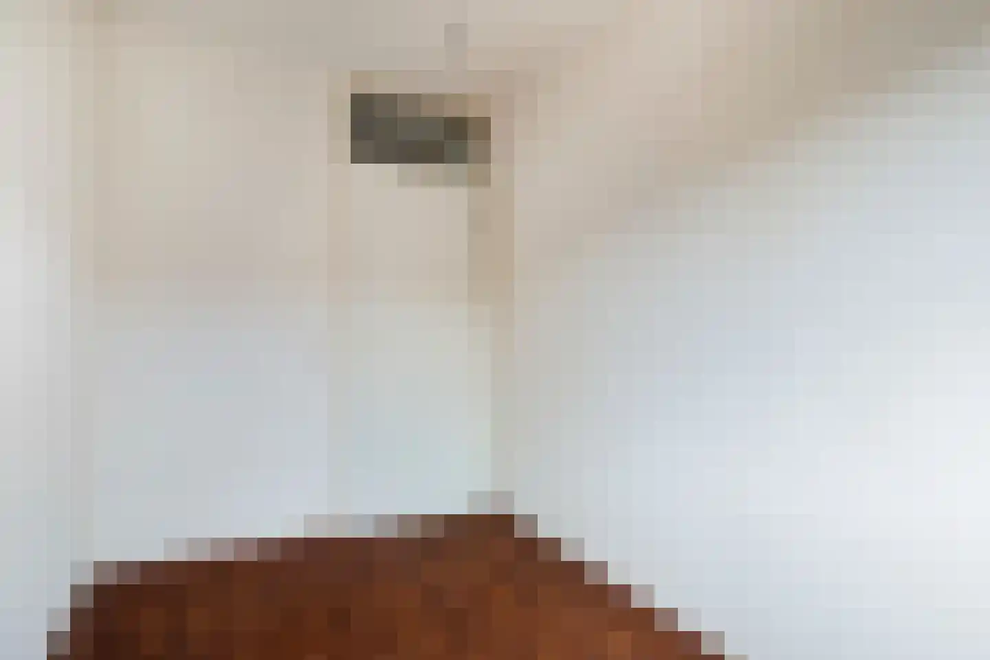 Scholekster 10 Breda thumbnail 18