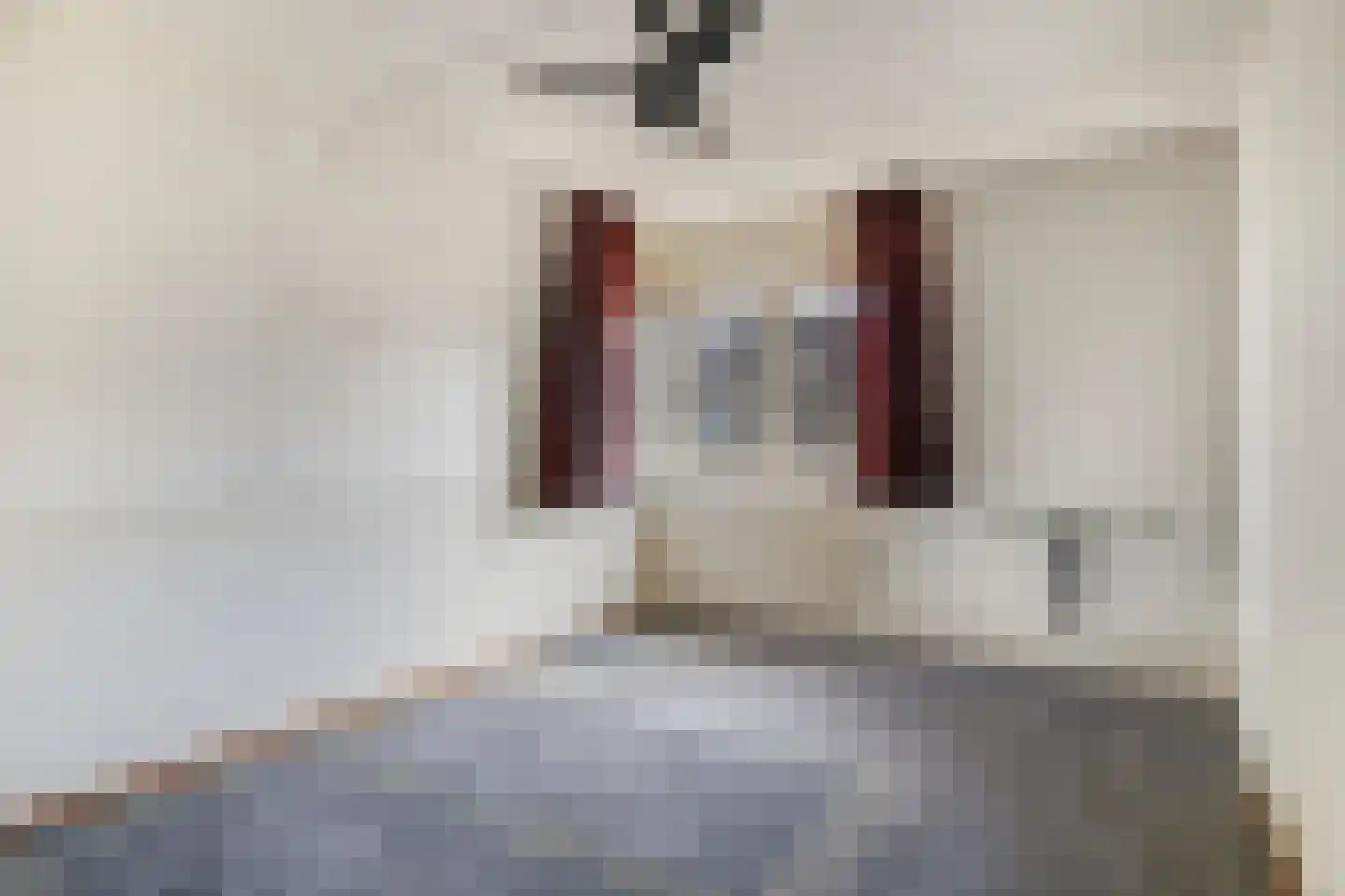 Scholekster 10 Breda thumbnail 19