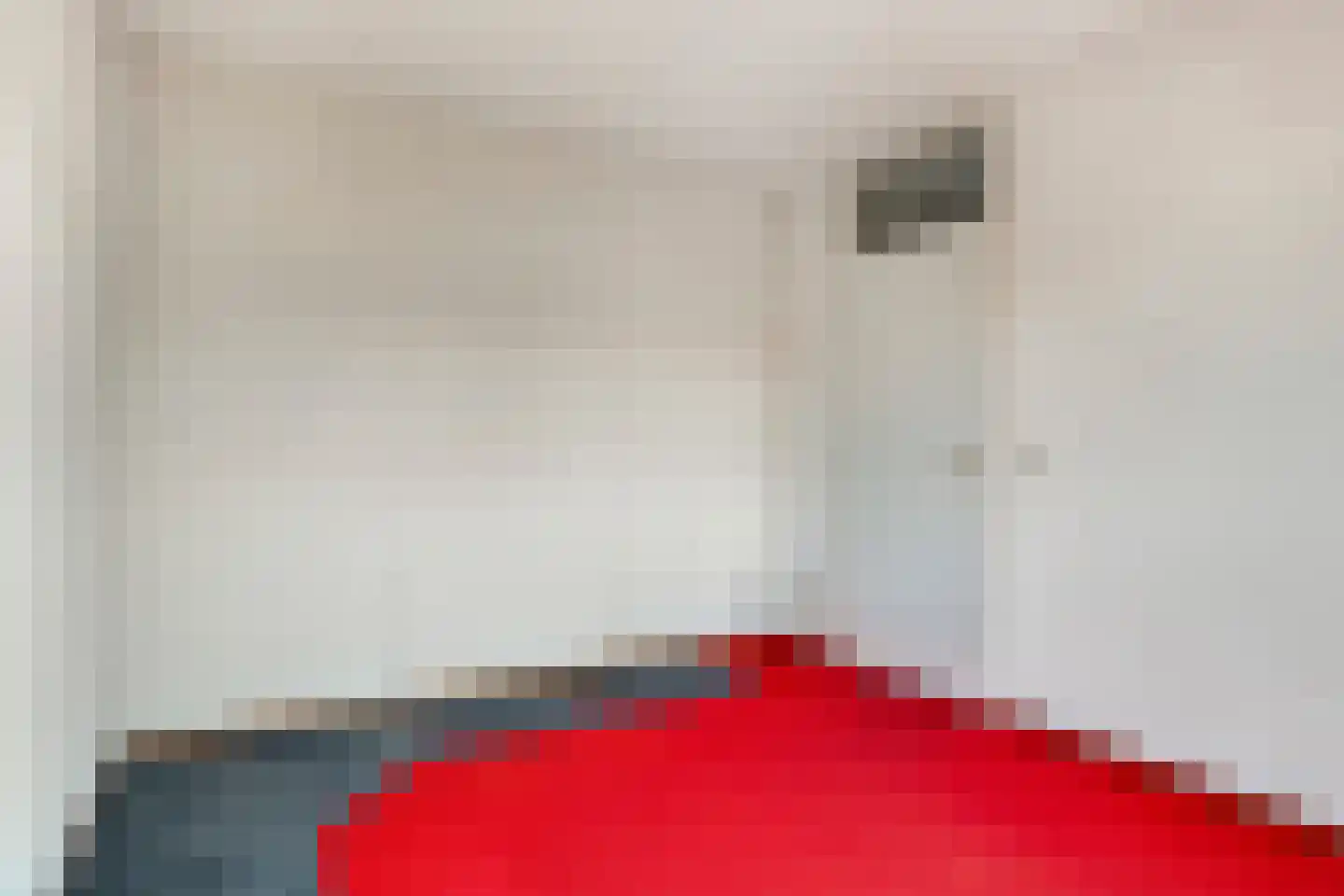 Scholekster 10 Breda thumbnail 22