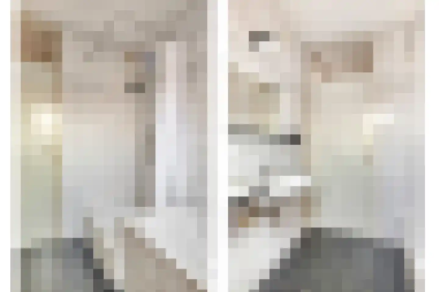 Scholekster 10 Breda thumbnail 23