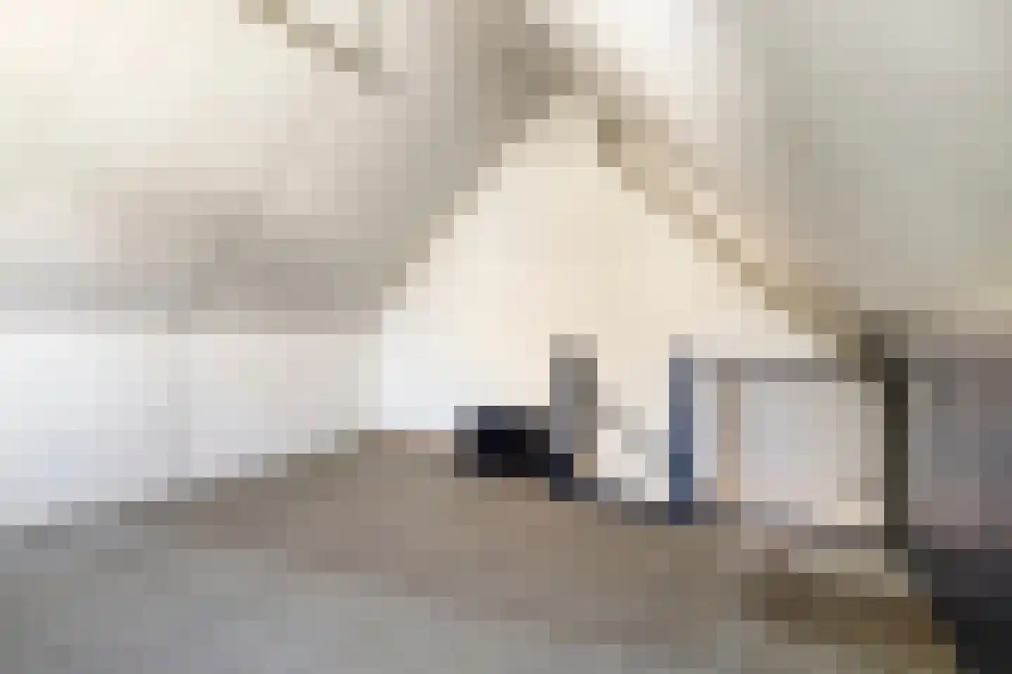Scholekster 10 Breda thumbnail 24