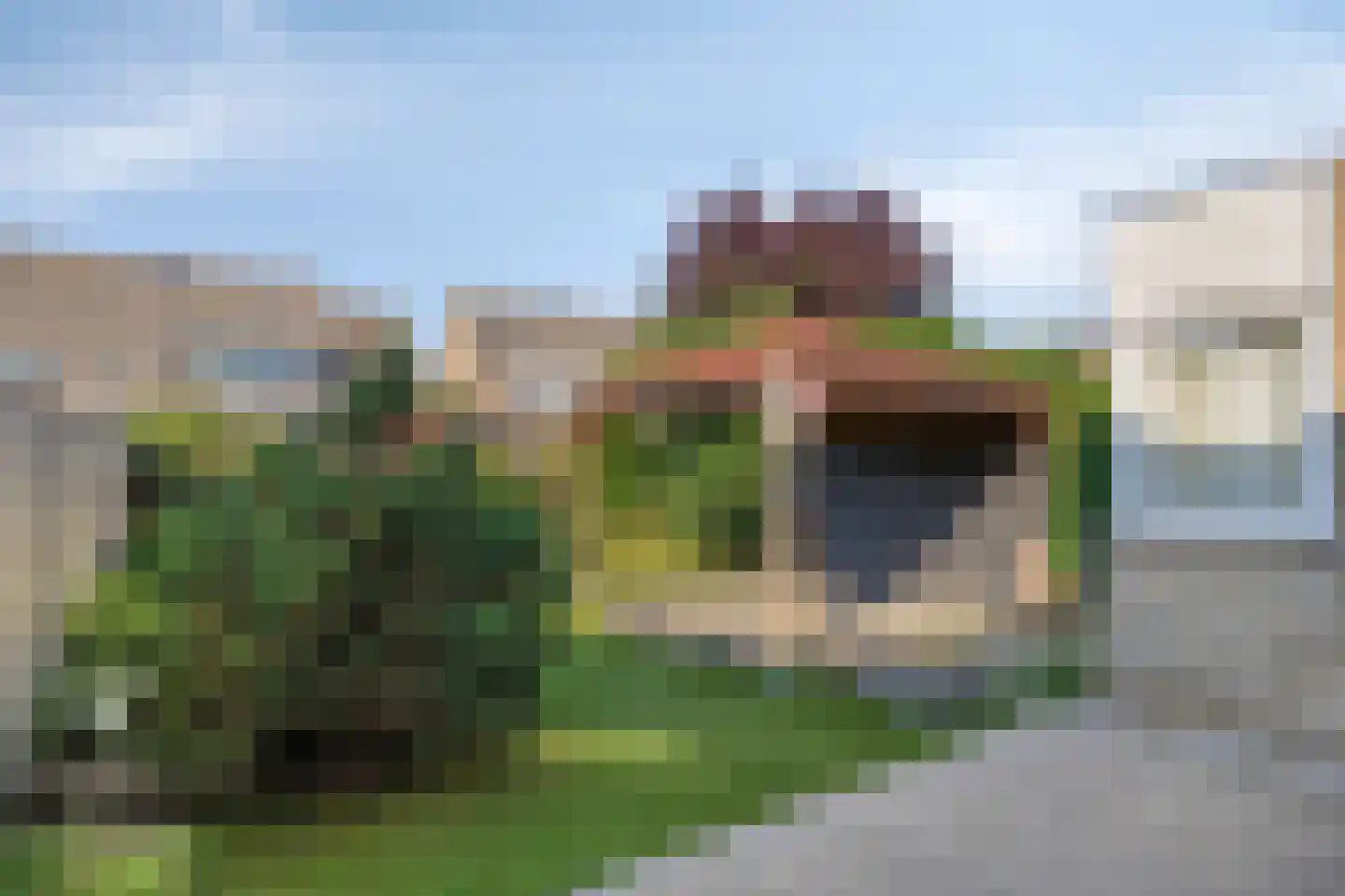 Scholekster 10 Breda thumbnail 26
