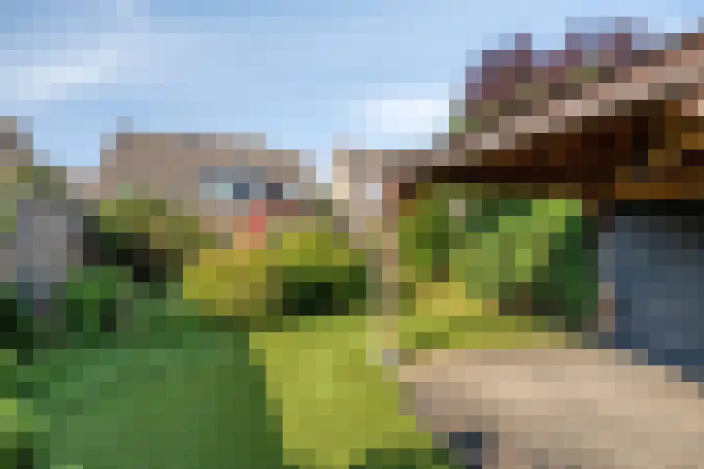 Scholekster 10 Breda thumbnail 27