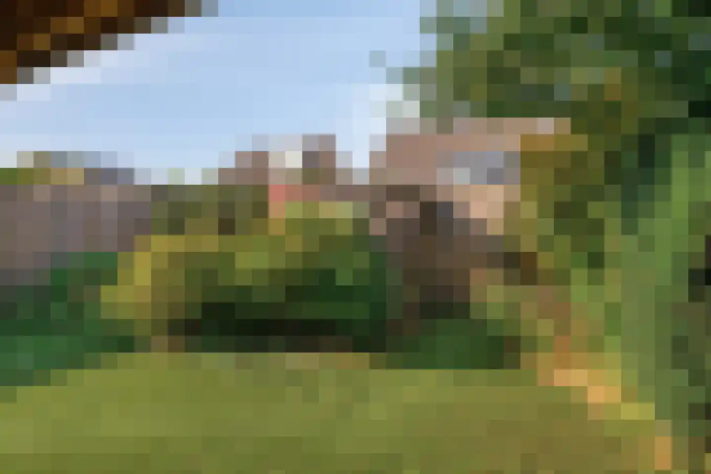 Scholekster 10 Breda thumbnail 28