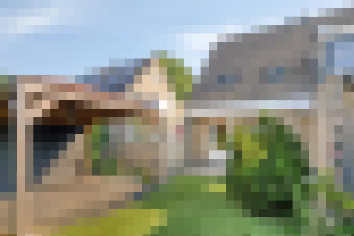 Scholekster 10 Breda thumbnail 30