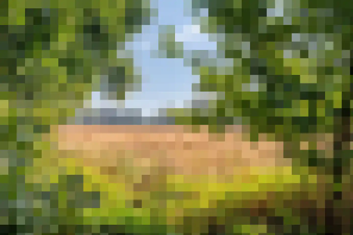 Scholekster 10 Breda thumbnail 34
