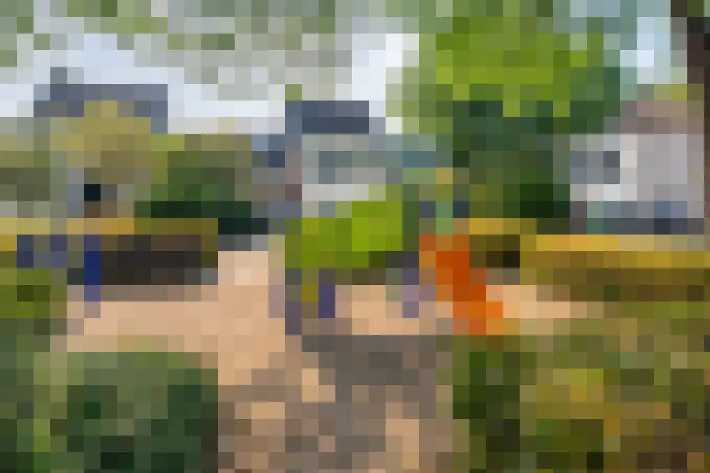 Scholekster 10 Breda thumbnail 36