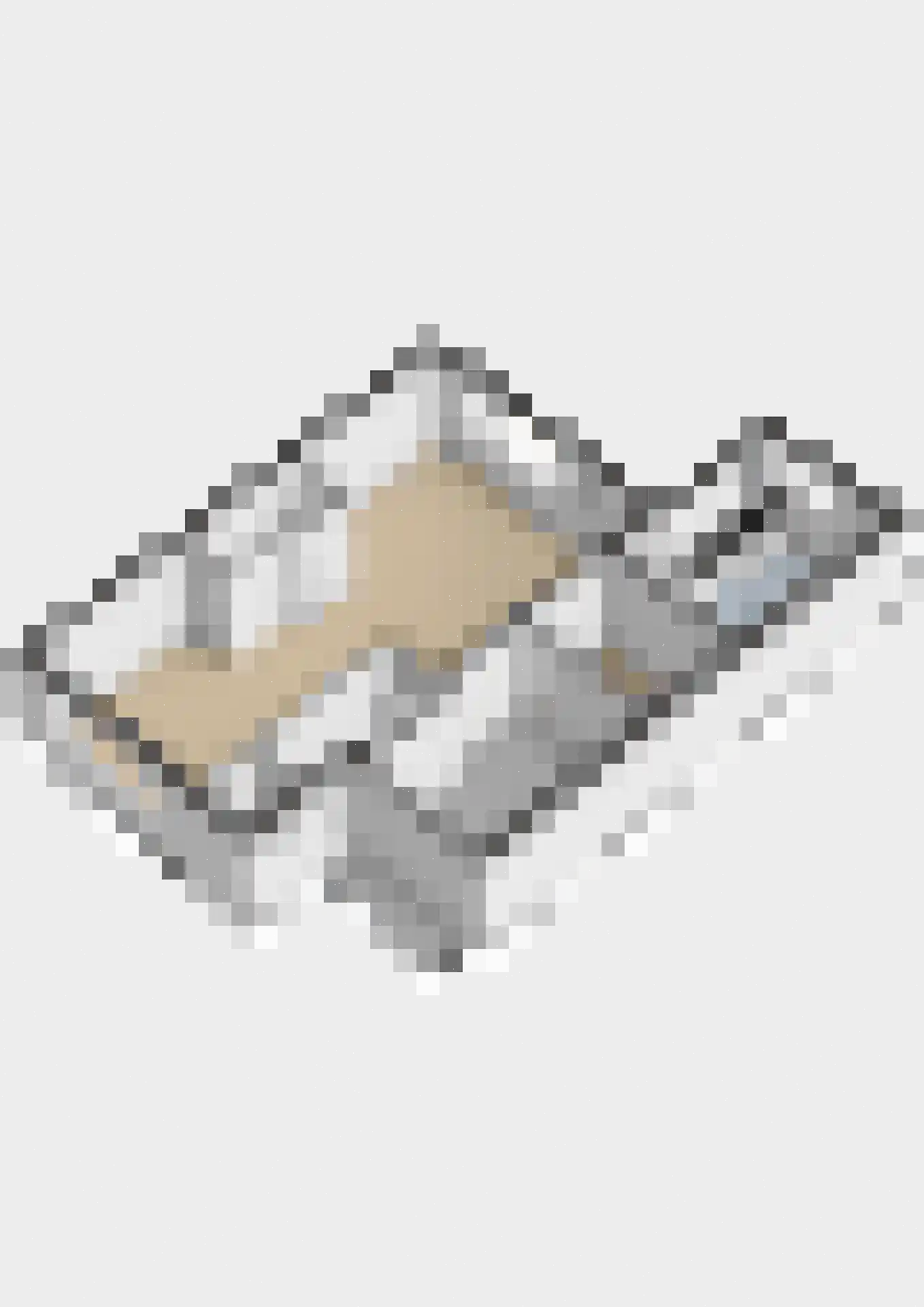Scholekster 10 Breda thumbnail 38