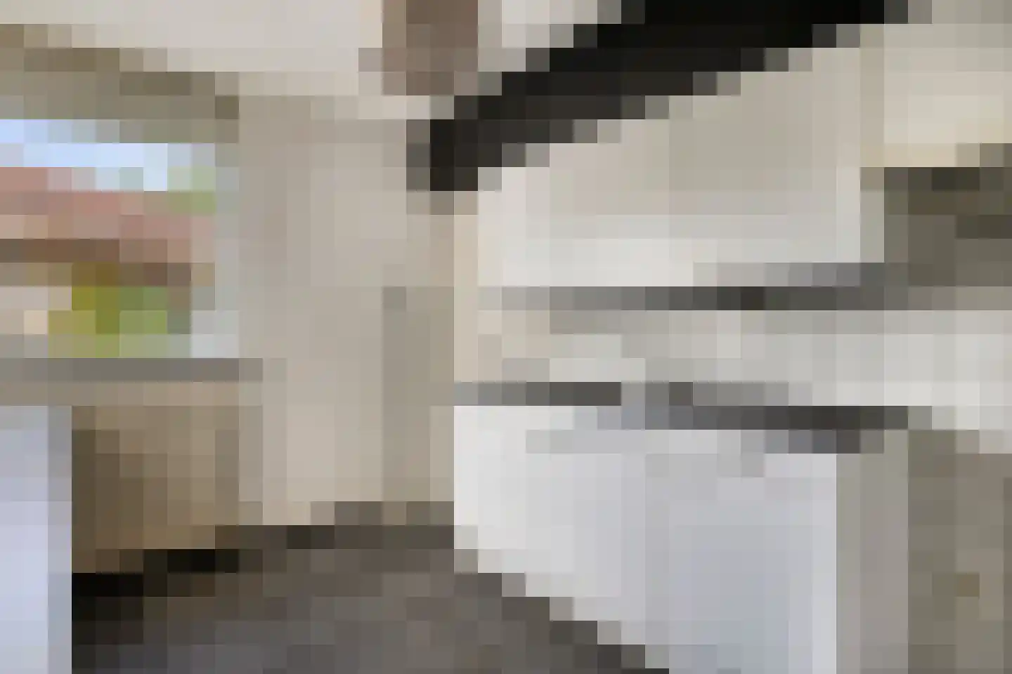 Scholekster 10 Breda thumbnail 4