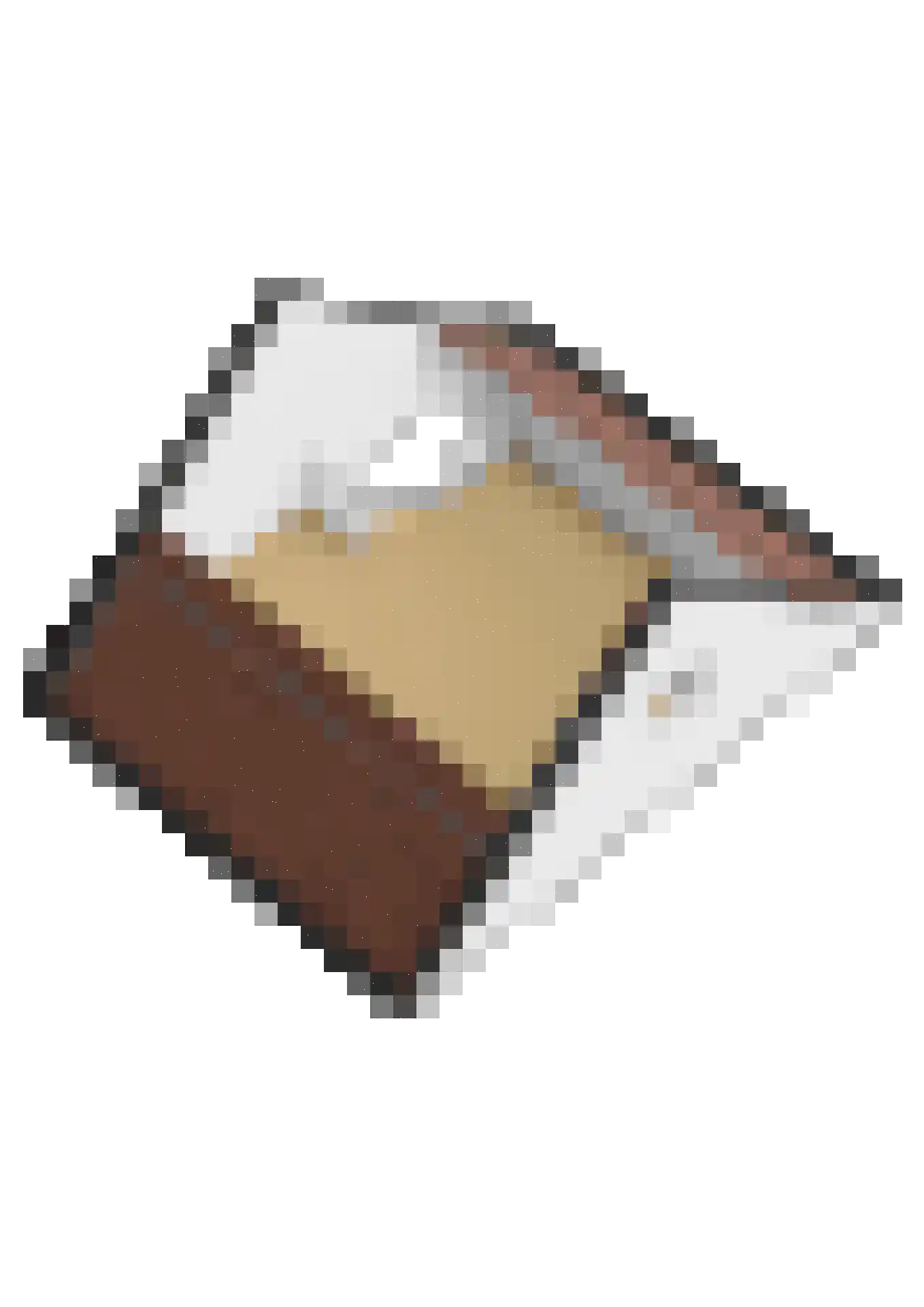 Scholekster 10 Breda thumbnail 42