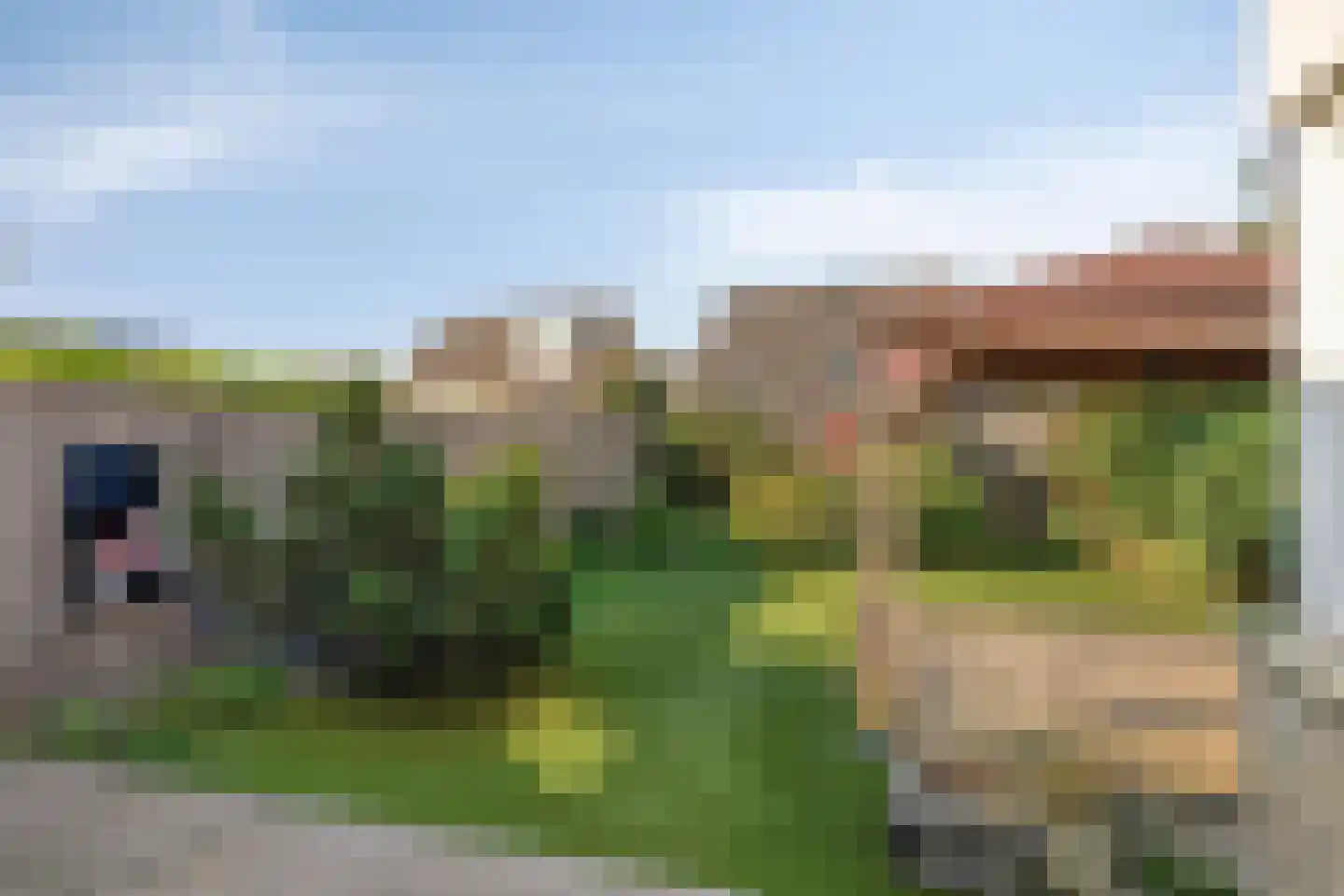 Scholekster 10 Breda thumbnail 6