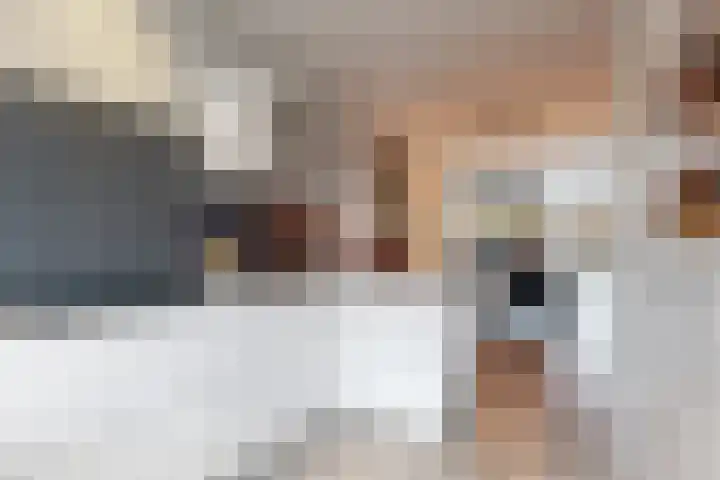 Scholekster 10 Uithoorn thumbnail 12