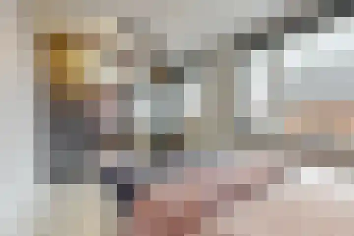 Scholekster 10 Uithoorn thumbnail 14