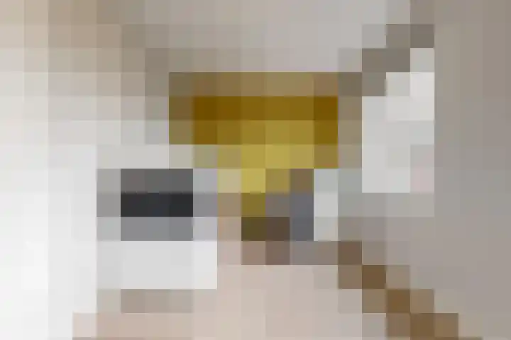 Scholekster 10 Uithoorn thumbnail 17