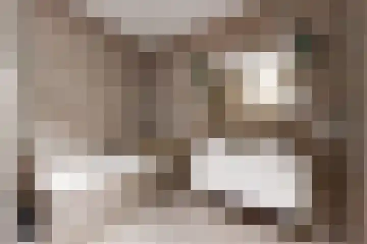 Scholekster 10 Uithoorn thumbnail 18