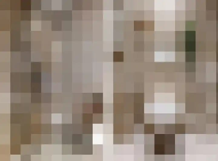 Scholekster 10 Uithoorn thumbnail 19