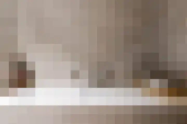 Scholekster 10 Uithoorn thumbnail 20