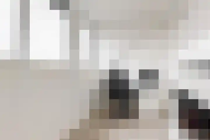 Scholekster 10 Uithoorn thumbnail 23