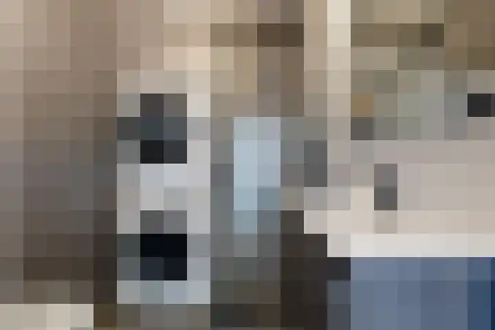 Scholekster 10 Uithoorn thumbnail 24