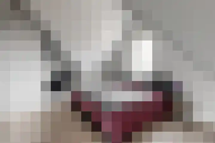 Scholekster 10 Uithoorn thumbnail 25