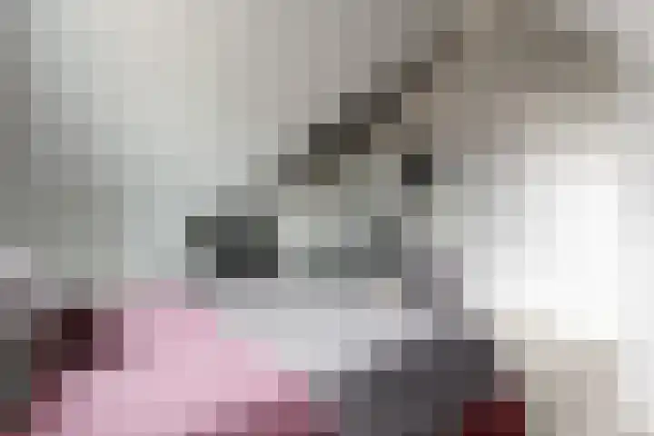 Scholekster 10 Uithoorn thumbnail 26