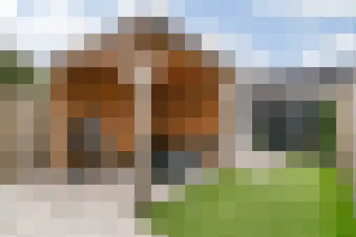 Scholekster 10 Uithoorn thumbnail 27